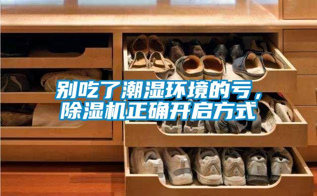 別吃了潮濕環境的虧，除濕機正確開啟方式