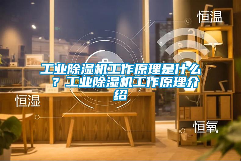 工業除濕機工作原理是什么 ？工業除濕機工作原理介紹