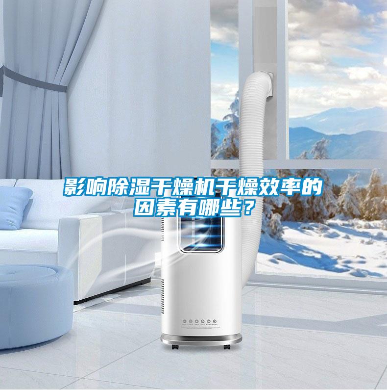 影響除濕干燥機干燥效率的因素有哪些?