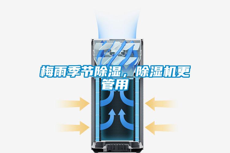 潮濕危害木地板 請用除濕機防范