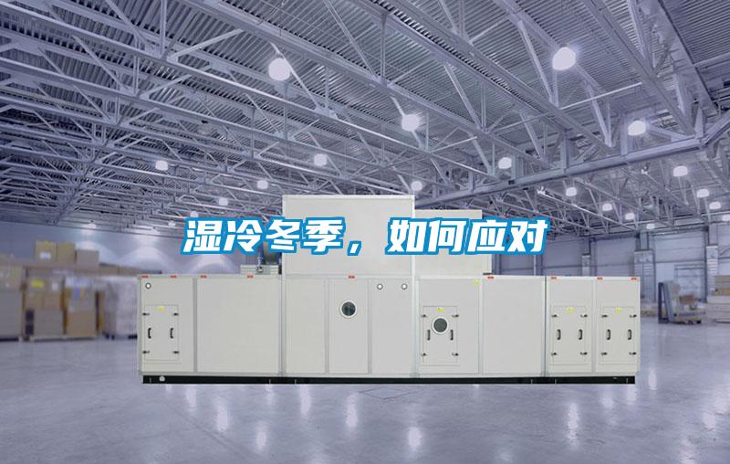 濕冷冬季,如何應對