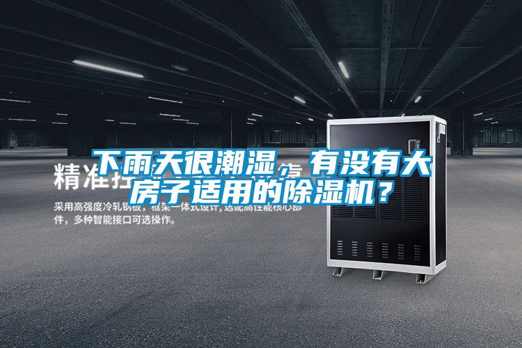 下雨天很潮濕，有沒有大房子適用的除濕機(jī)？