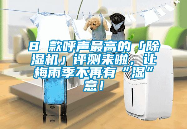 8 款呼聲最高的「除濕機」評測來啦，讓梅雨季不再有“濕”意！