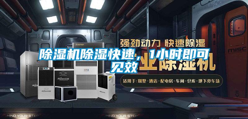 除濕機(jī)除濕快速,1小時(shí)即可見效