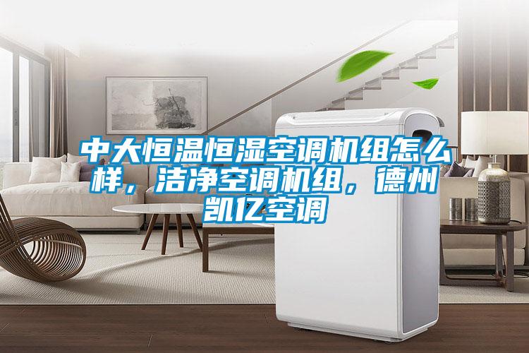 中大恒溫恒濕空調機組怎么樣,潔凈空調機組,德州凱億空調
