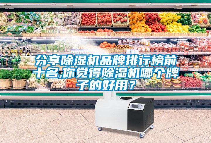 分享除濕機品牌排行榜前十名,你覺得除濕機哪個牌子的好用？