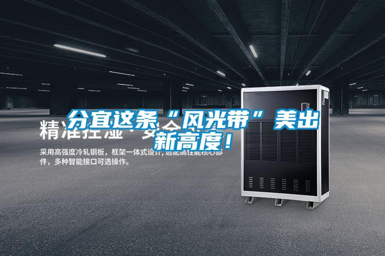 分宜這條“風光帶”美出新高度！